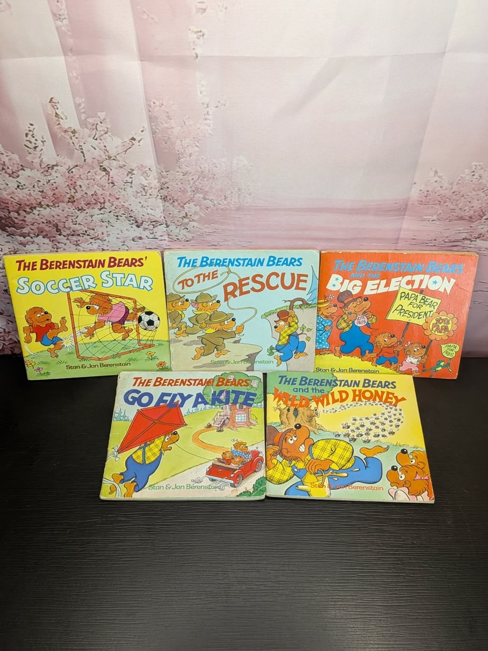Lot of 5 vintage 1983/1984 Berenstain Bears big chapter books. Preowned.